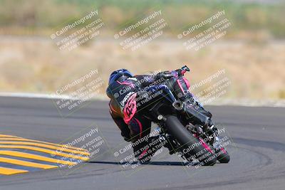 media/Oct-09-2022-SoCal Trackdays (Sun) [[95640aeeb6]]/Turn 14 Backside (1125am)/